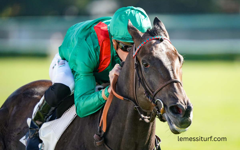 Joli Turf Gagnant