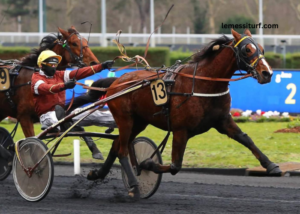 les 3 chevaux incontournables