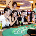 Live Casino Jargon: A Beginner’s Guide for Korean Players