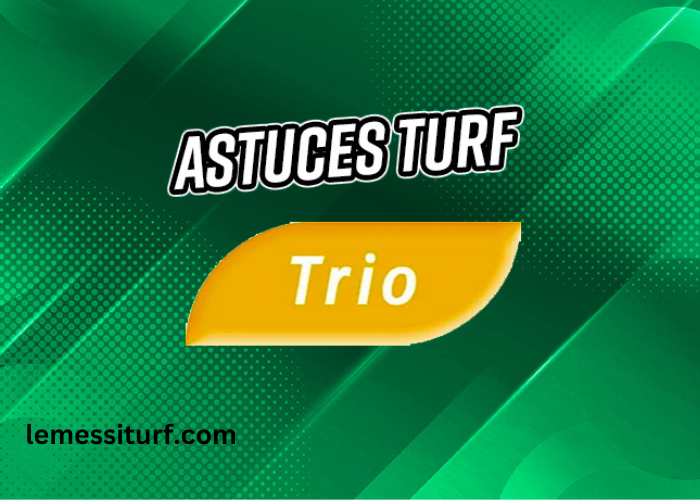 Trio 3 Chevaux
