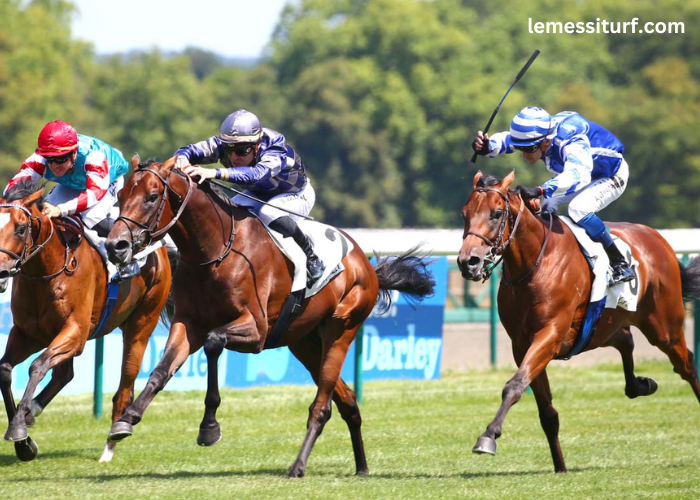 8 Chevaux Turf Magique