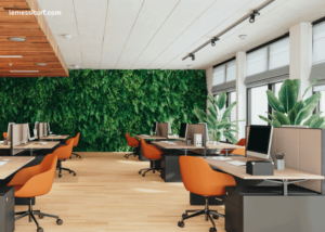 How colour choices support eco-friendly design principles in offices