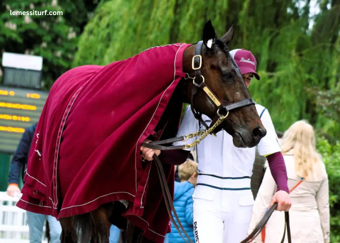 Meilleur Pronostic 3 Chevaux