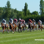 Fortune Turf Vip