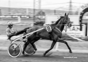 Cheval Gagnant Vip