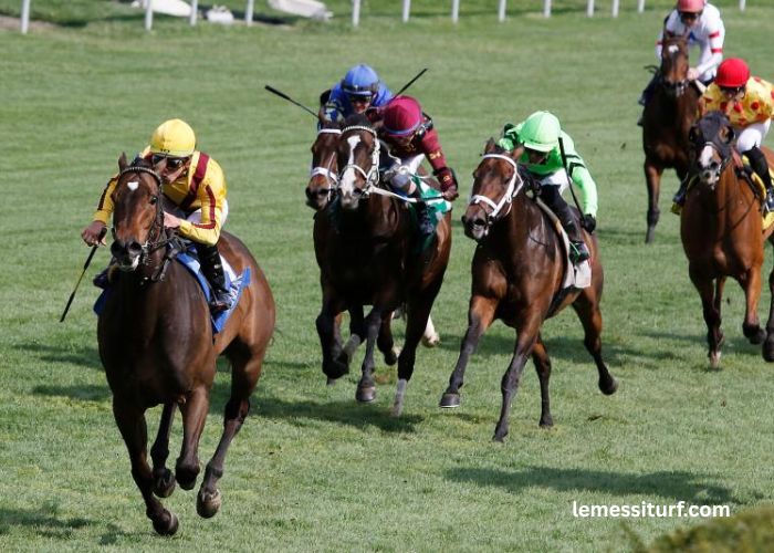 From Turf to Reels Strategic Betting Across Horse Racing and Online Casinos