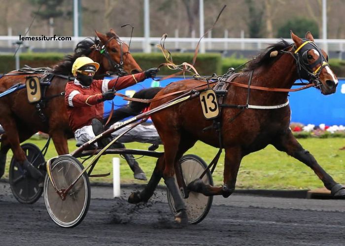 Le Tuyau Coup Sur