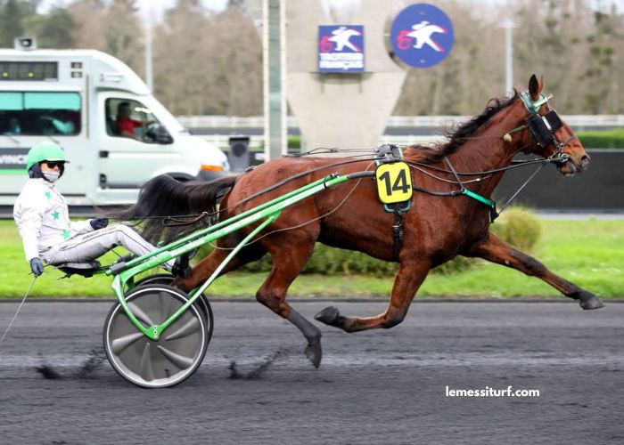 Quinte Gagnant Vip
