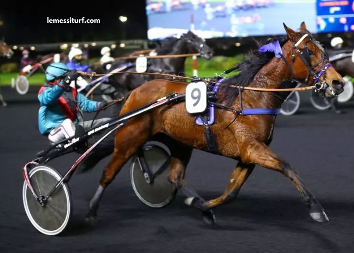 Resultat Des Courses Aujourd'hui 15h15