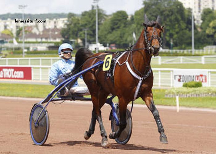 Tierce100pour100 Sur