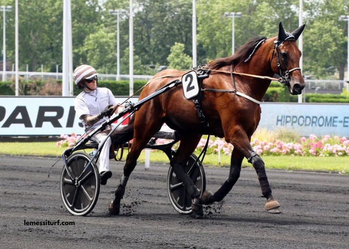100 Ordre Turf