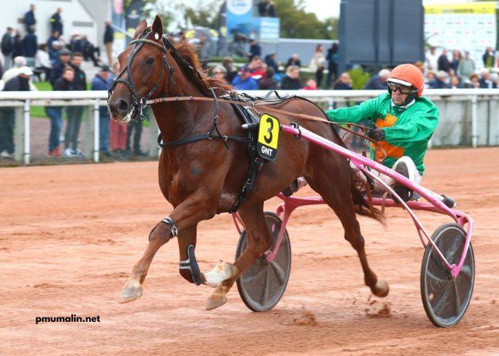 Clé Milliard Turf
