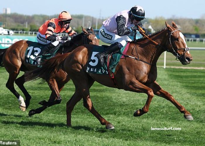 Pronostic Gratuit Turf