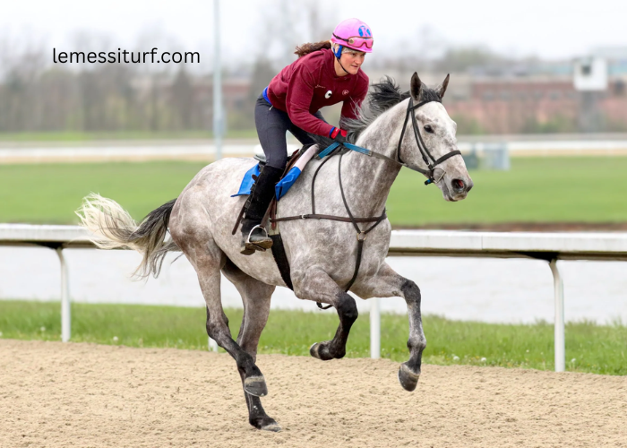The Evolution of Horse Turf Tracks