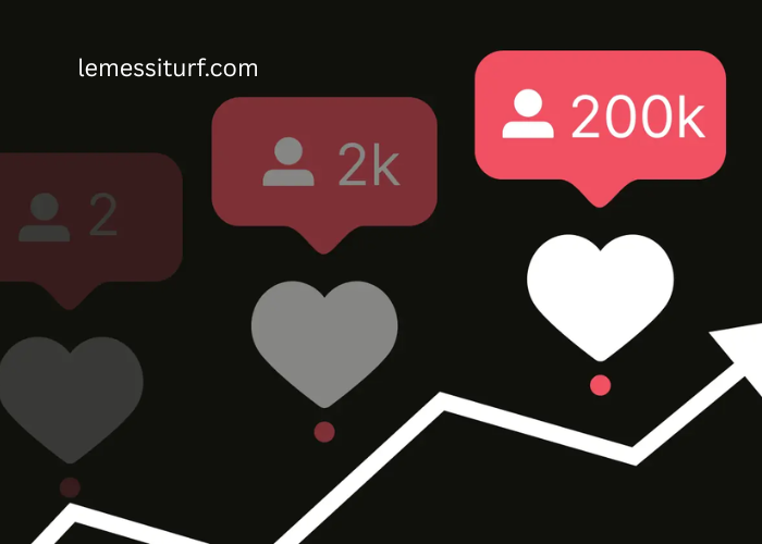 The Impact of Profile Aesthetics on Follower Conversion Rates