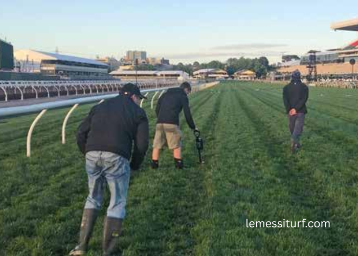 Behind the Turf: Race Day Preparation