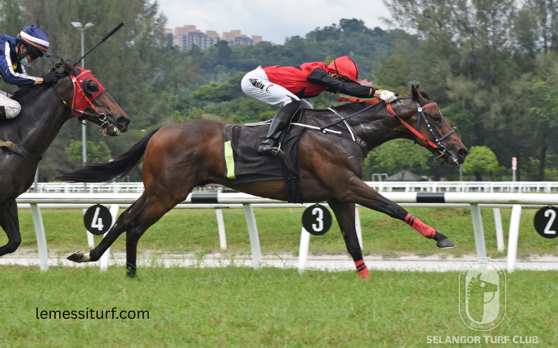 talent turf